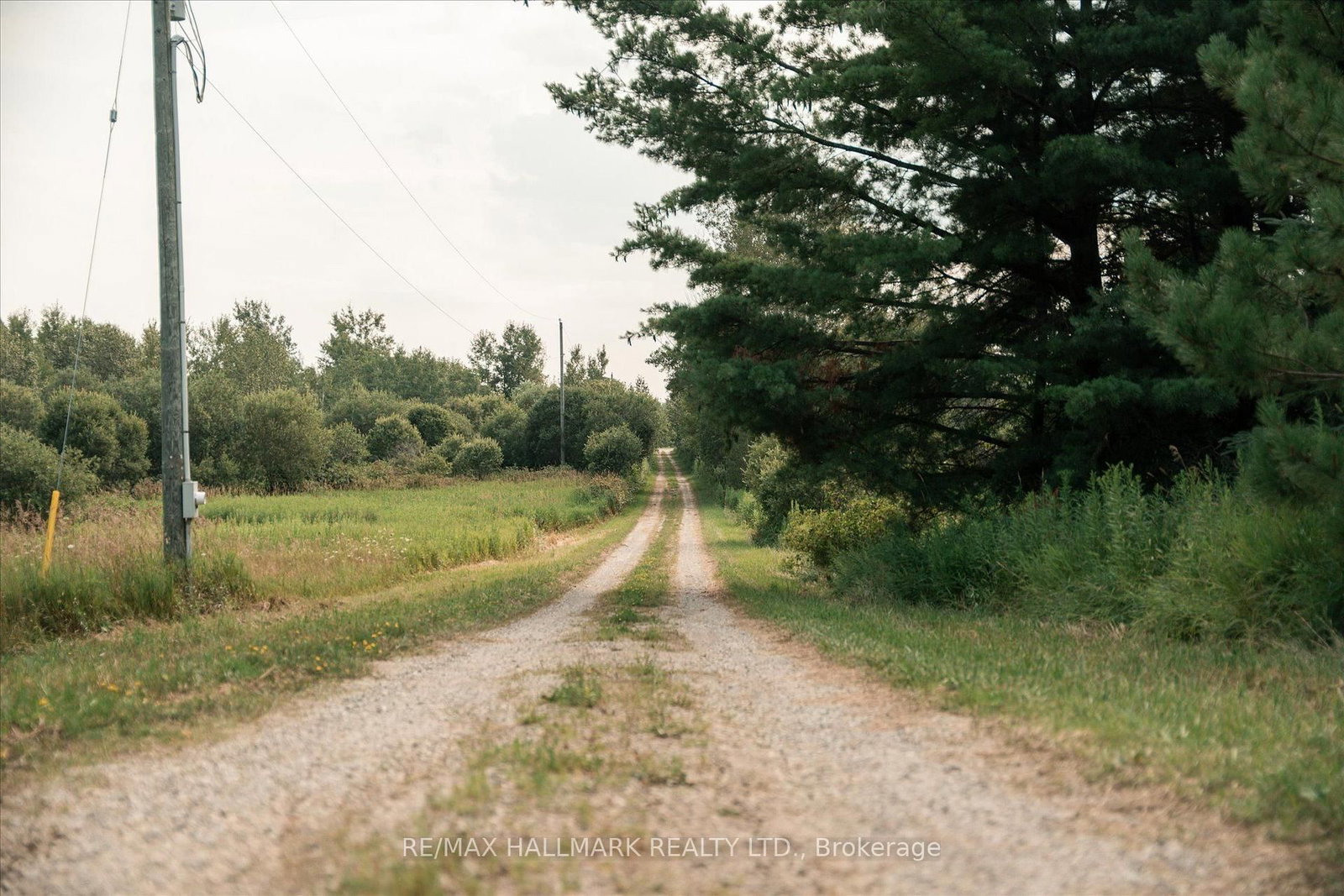 191555 13 Line • East Garafraxa, ON photo 46