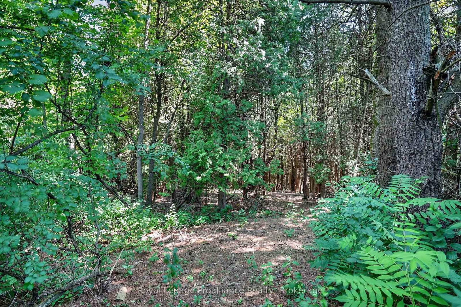 Listing Image 48