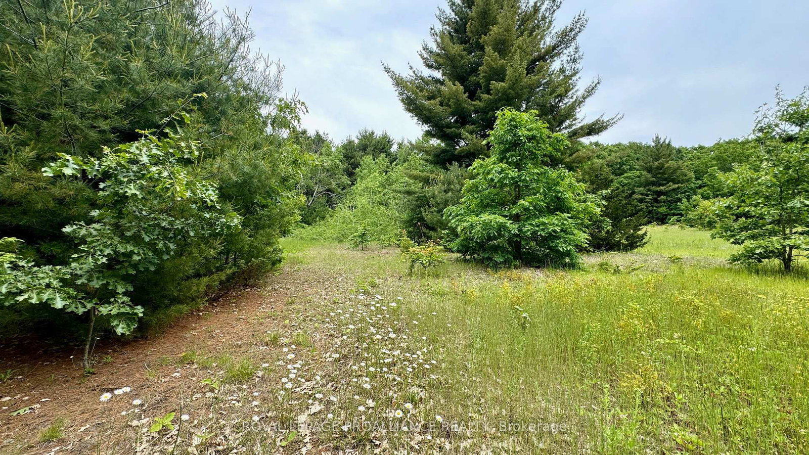 207 Middle Ridge Road • Brighton, ON photo 5