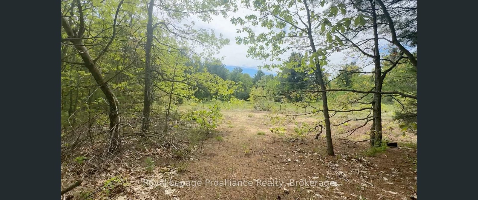 207 Middle Ridge Road • Brighton, ON photo 9