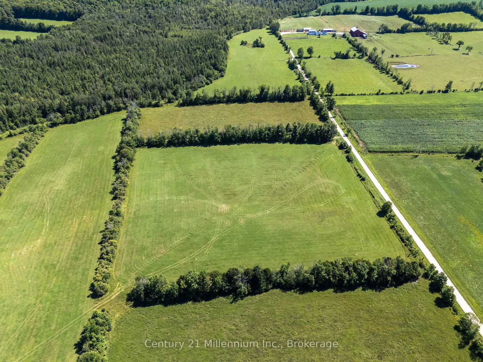 702174 Sideroad 5 • Chatsworth, ON photo 16