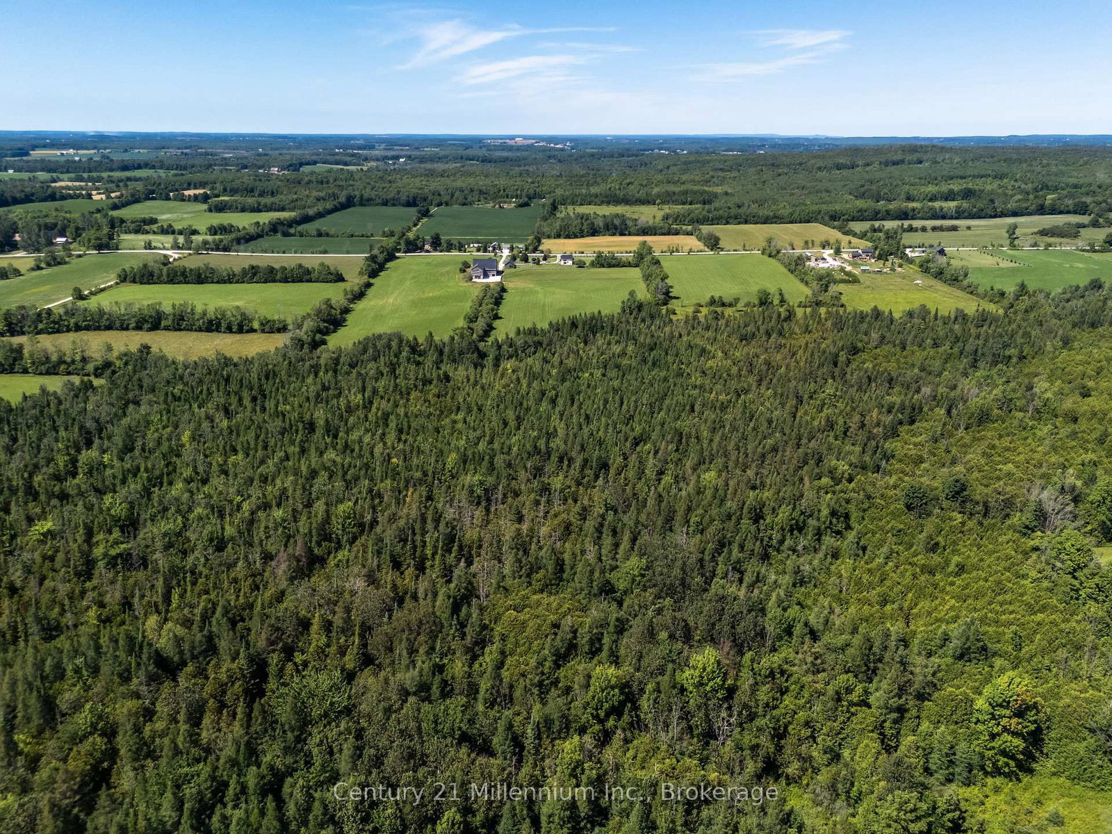 702174 Sideroad 5 • Chatsworth, ON photo 19