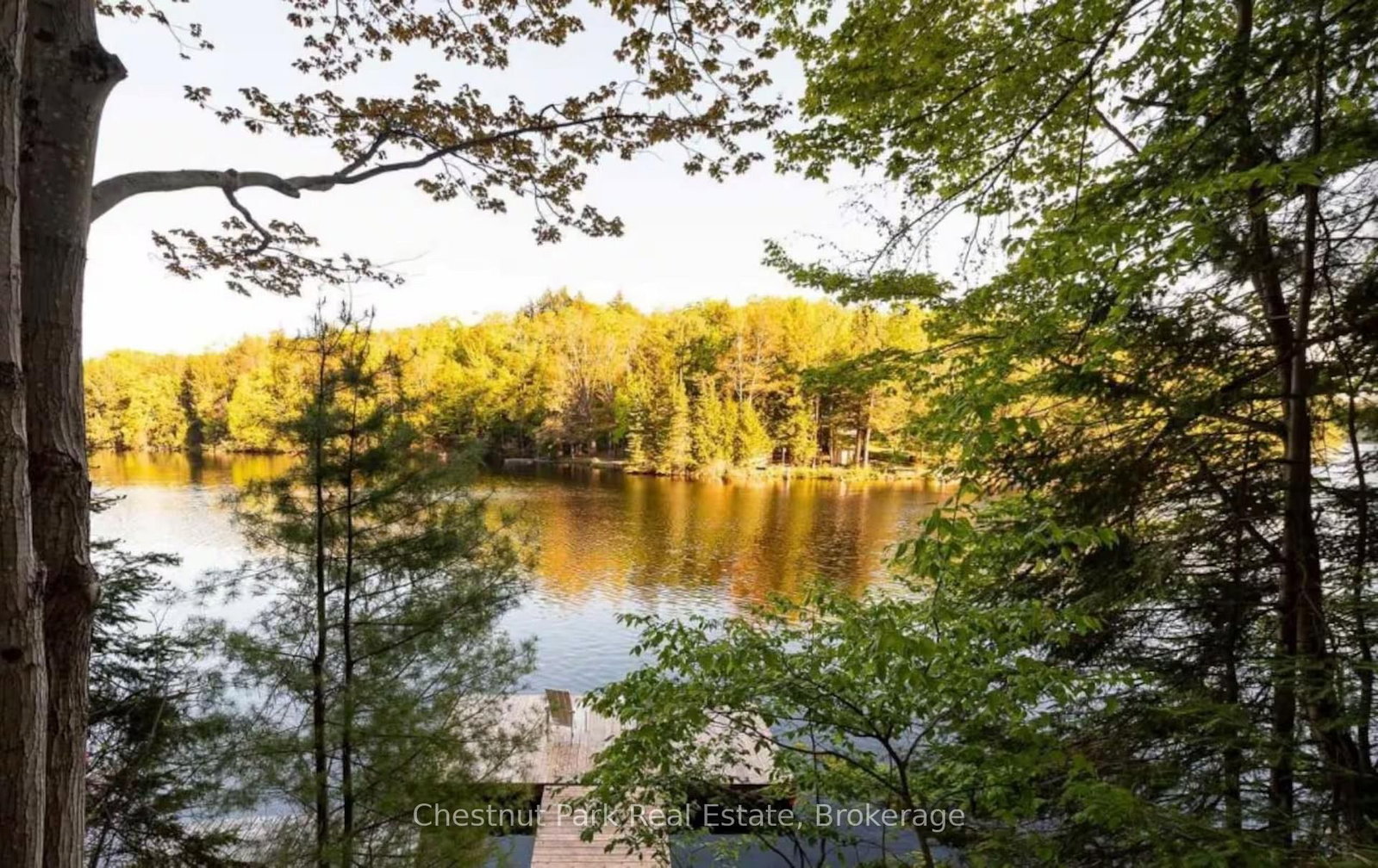 1036 Carlson Place • Bracebridge, ON photo 26