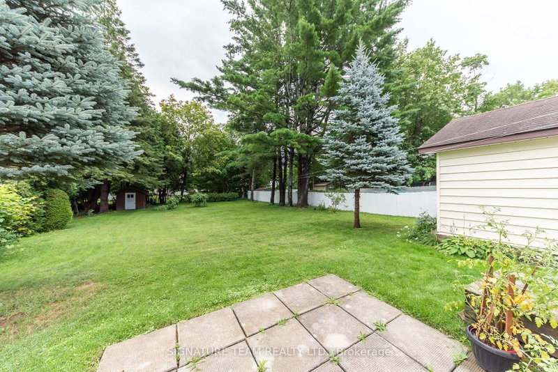 259 Peter St photo 5
