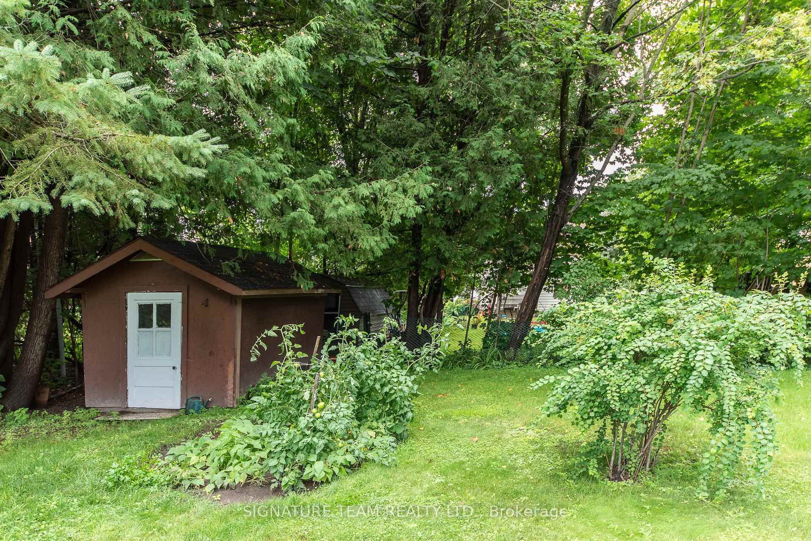 259 Peter Street • Pembroke, ON photo 7