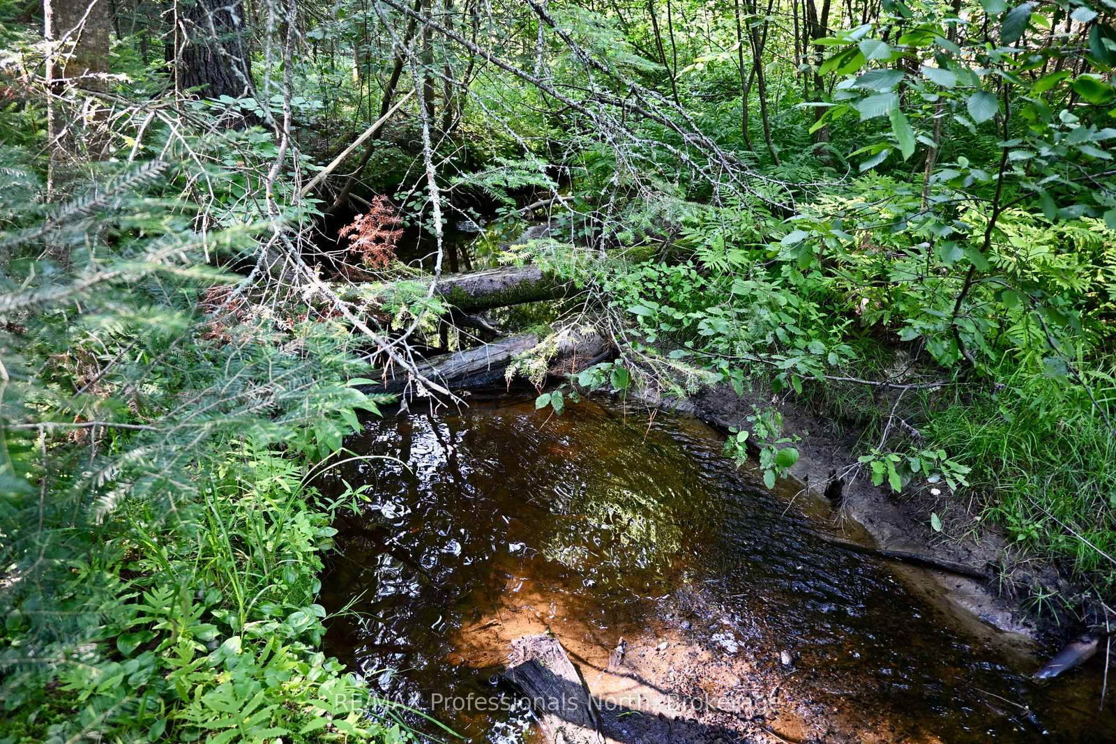 242 Deer Lake Road • Huntsville, ON photo 45