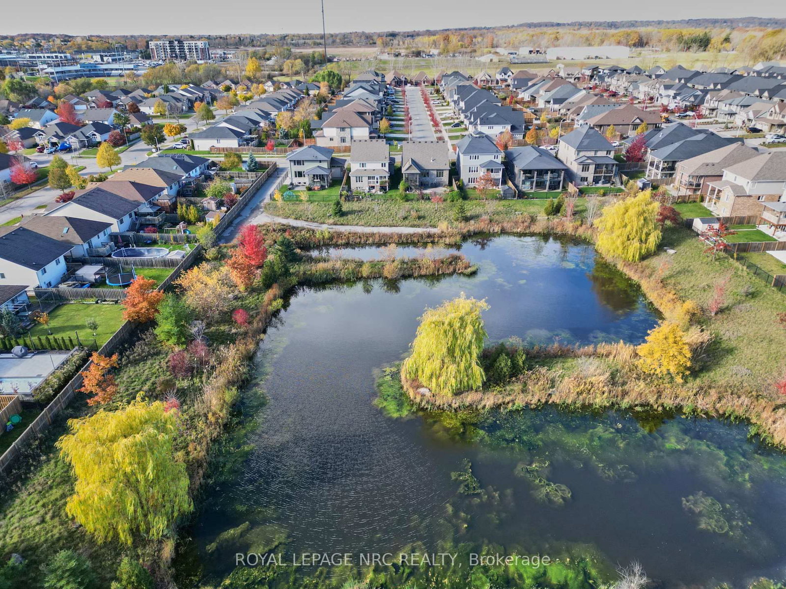 80 Days Avenue • Thorold, ON photo 2