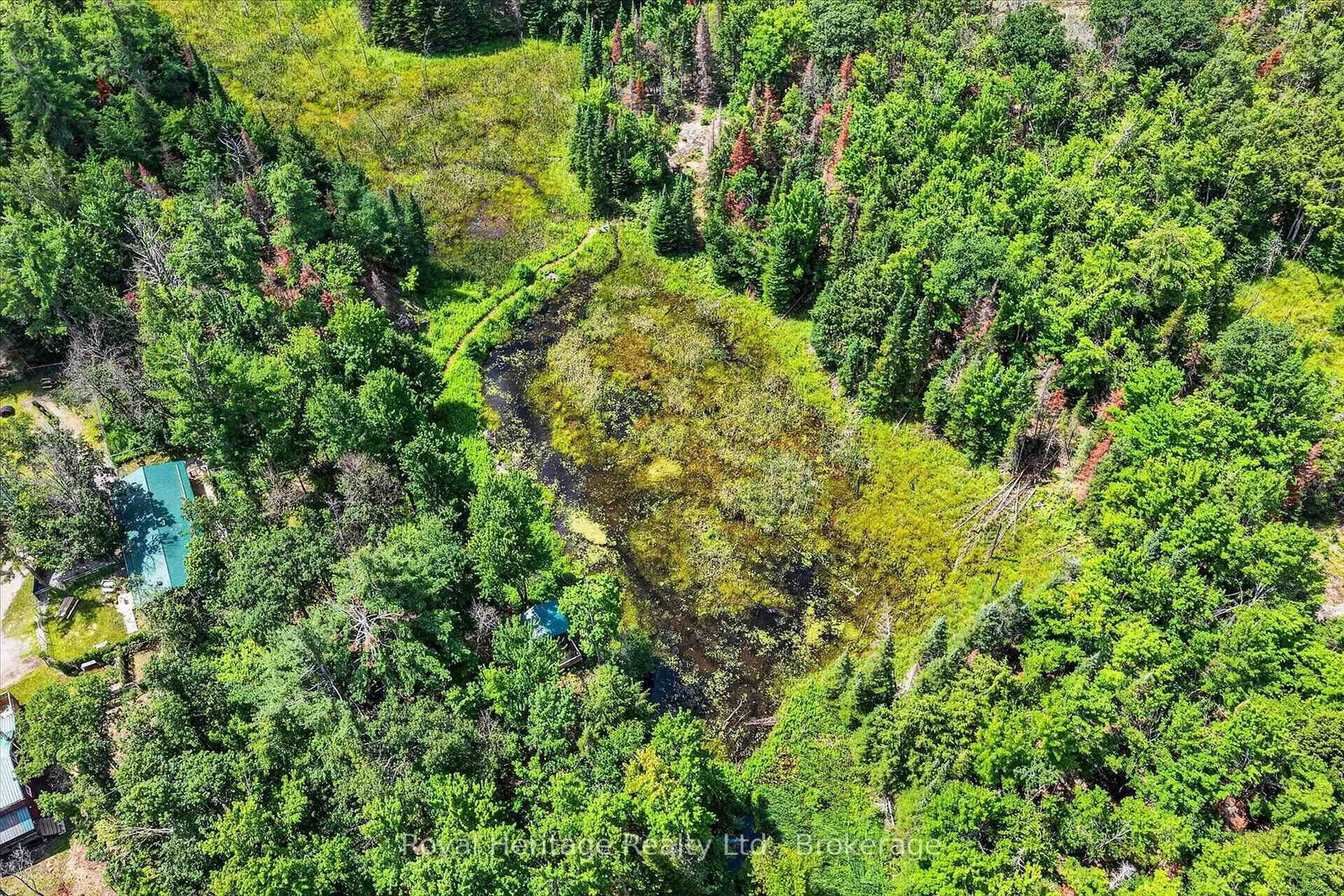 82 Kennedy Drive • Trent Lakes, ON photo 39