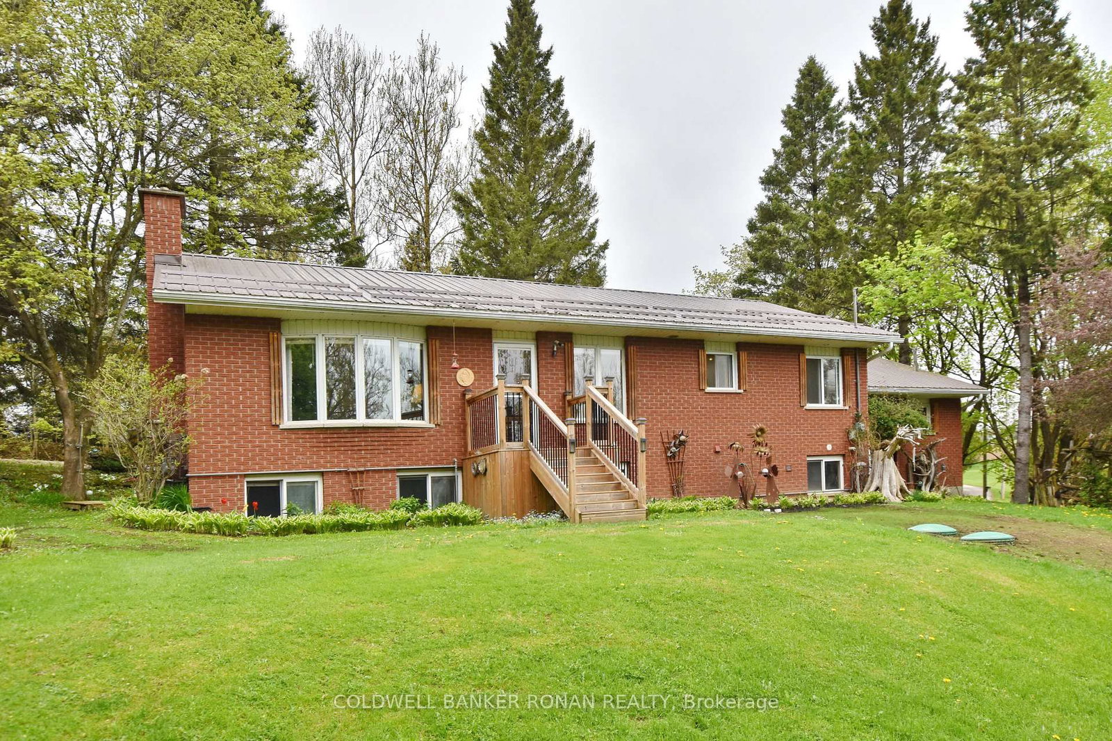 110 Old Highway 4 • Grey Highlands, ON photo 1