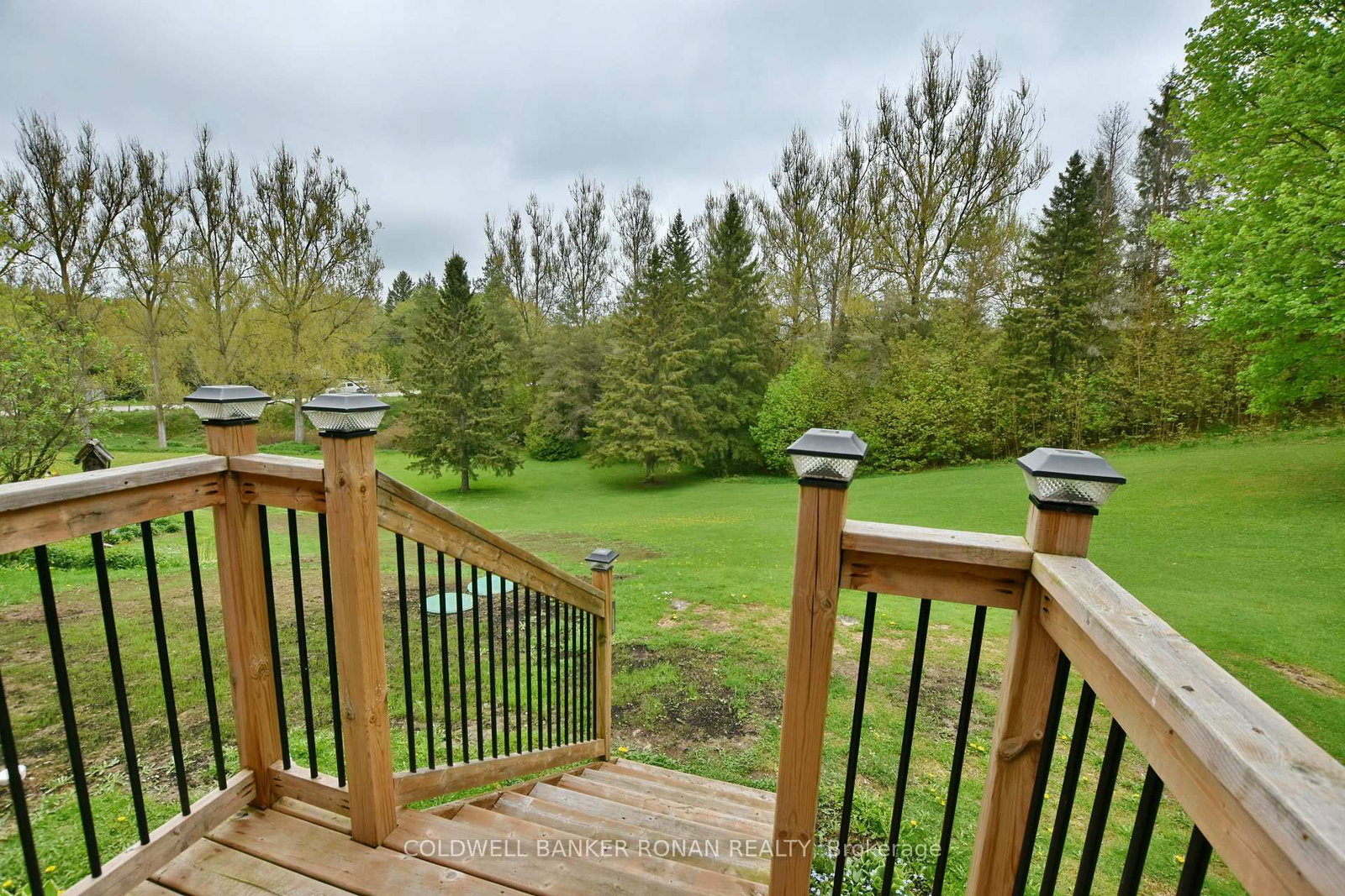 110 Old Highway 4 • Grey Highlands, ON photo 27