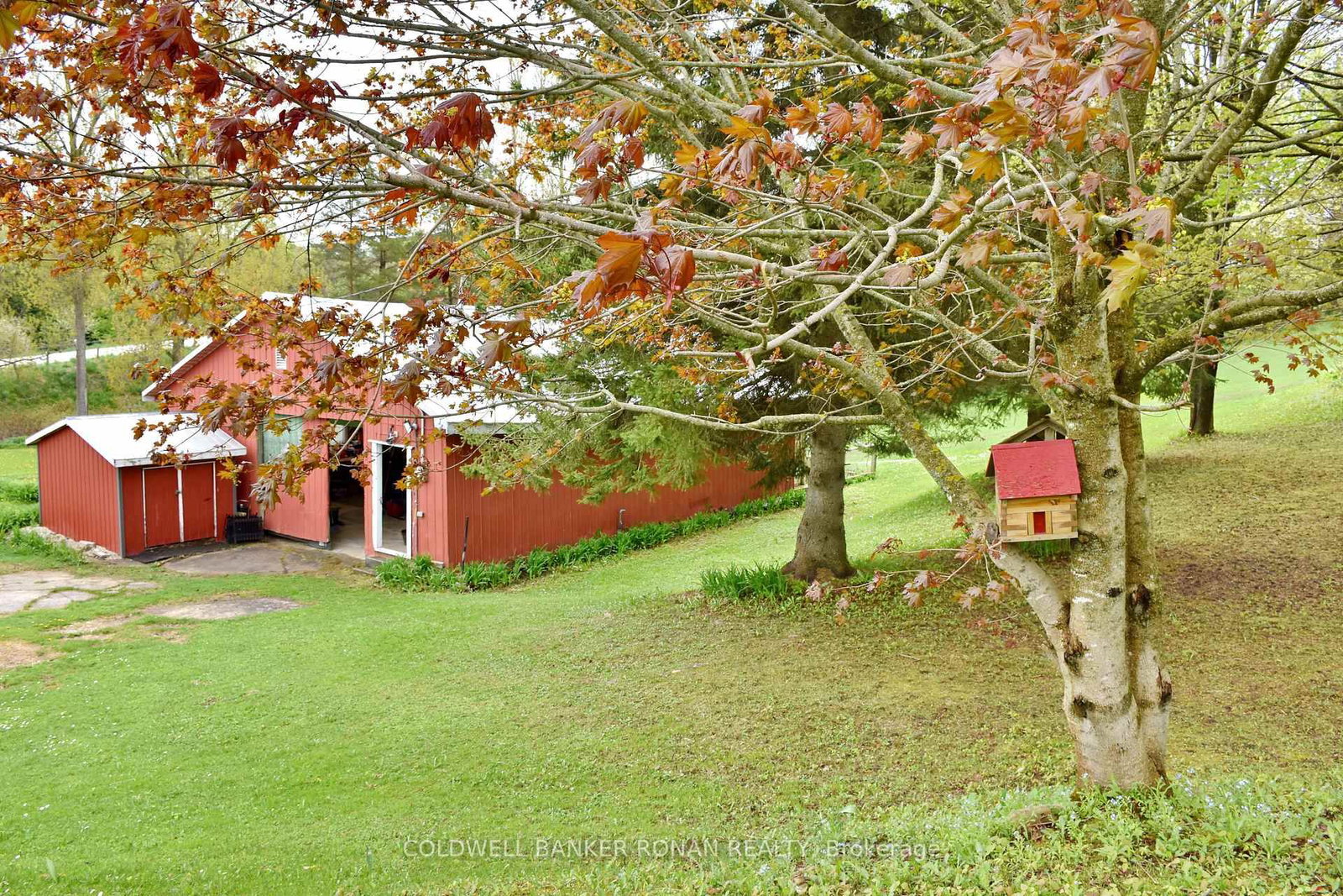 110 Old Highway 4 • Grey Highlands, ON photo 45