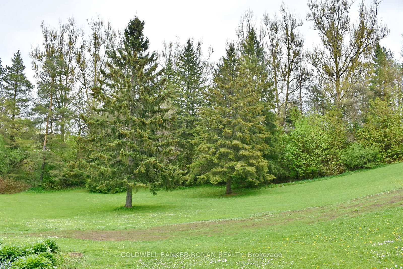 110 Old Highway 4 • Grey Highlands, ON photo 46