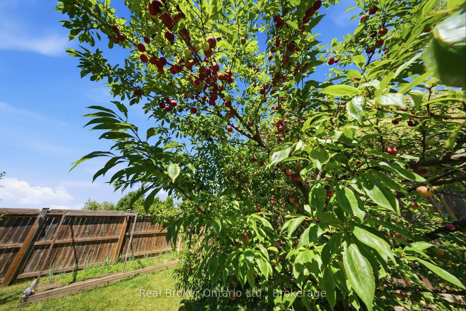 360 Dover Avenue • Norfolk, ON photo 34