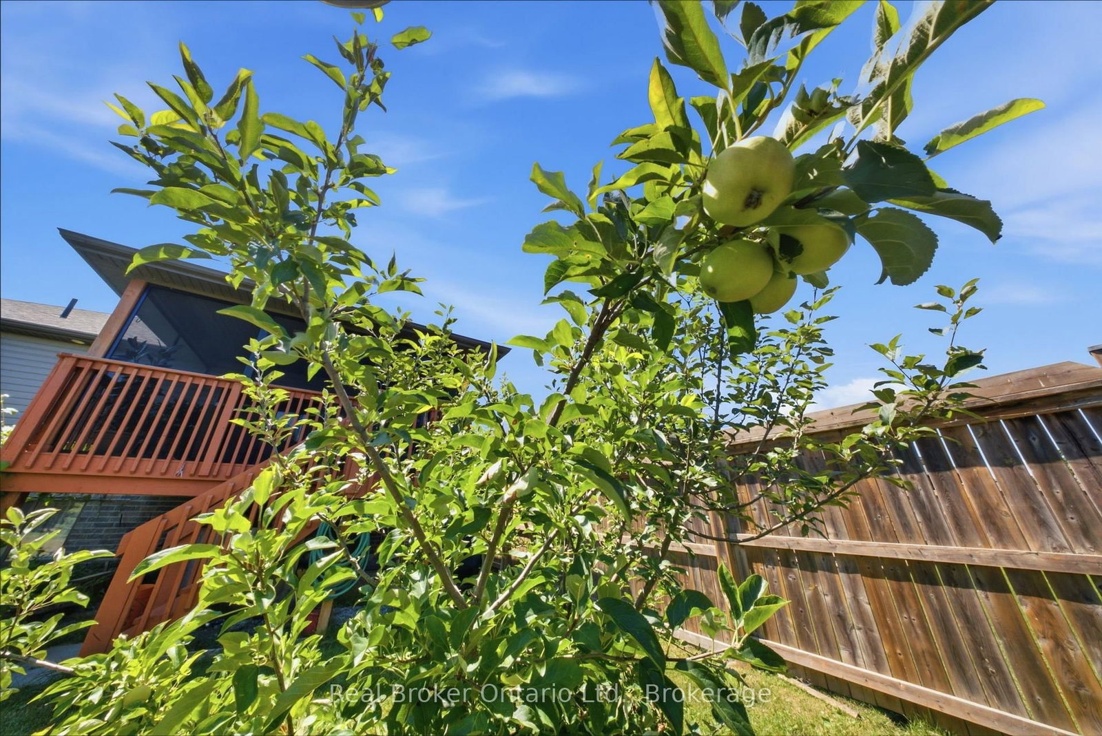 360 Dover Avenue • Norfolk, ON photo 36