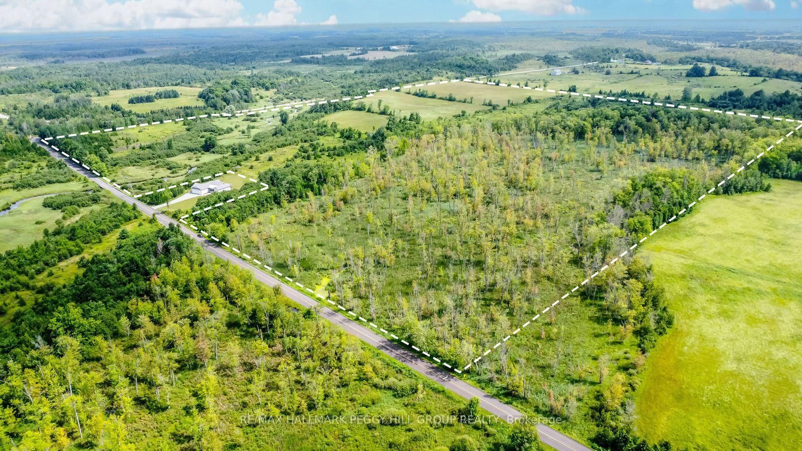 Lot 5 Concession 5 • Kawartha Lakes, ON photo 2