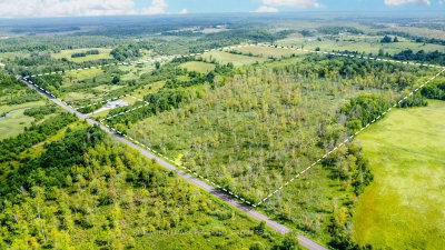 Lot 5 Concession 5 • Kawartha Lakes, ON photo 2