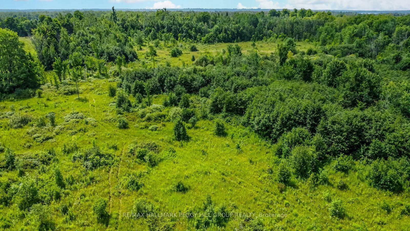 Lot 5 Concession 5 • Kawartha Lakes, ON photo 4