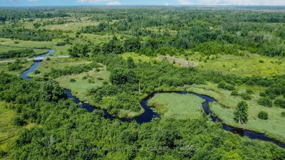 Lot 5 Concession 5 • Kawartha Lakes, ON photo 5