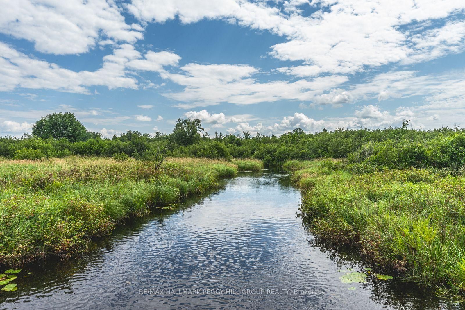 Lot 5 Concession 5 • Kawartha Lakes, ON photo 6