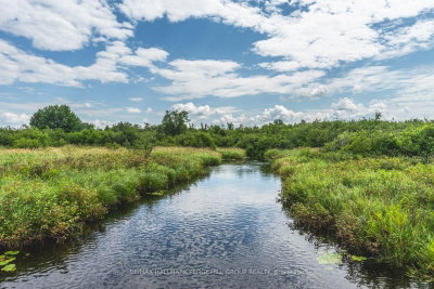 Lot 5 Concession 5 • Kawartha Lakes, ON photo 6