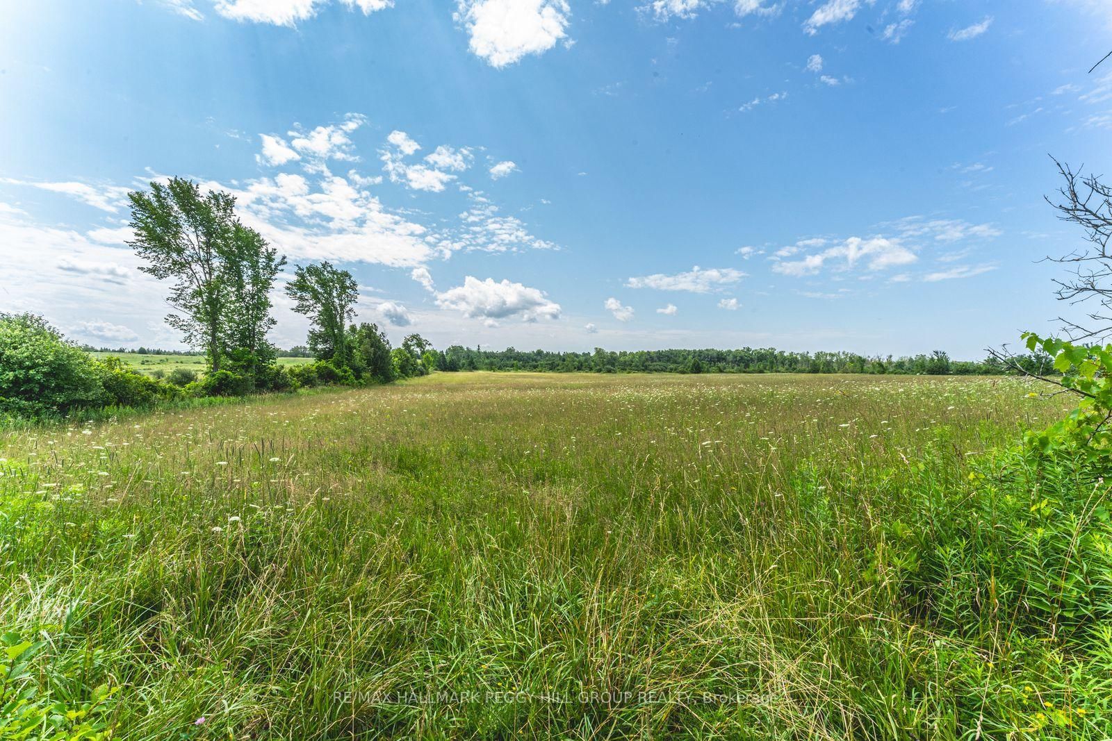Lot 5 Concession 5 • Kawartha Lakes, ON photo 7