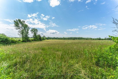 Lot 5 Concession 5 • Kawartha Lakes, ON photo 7