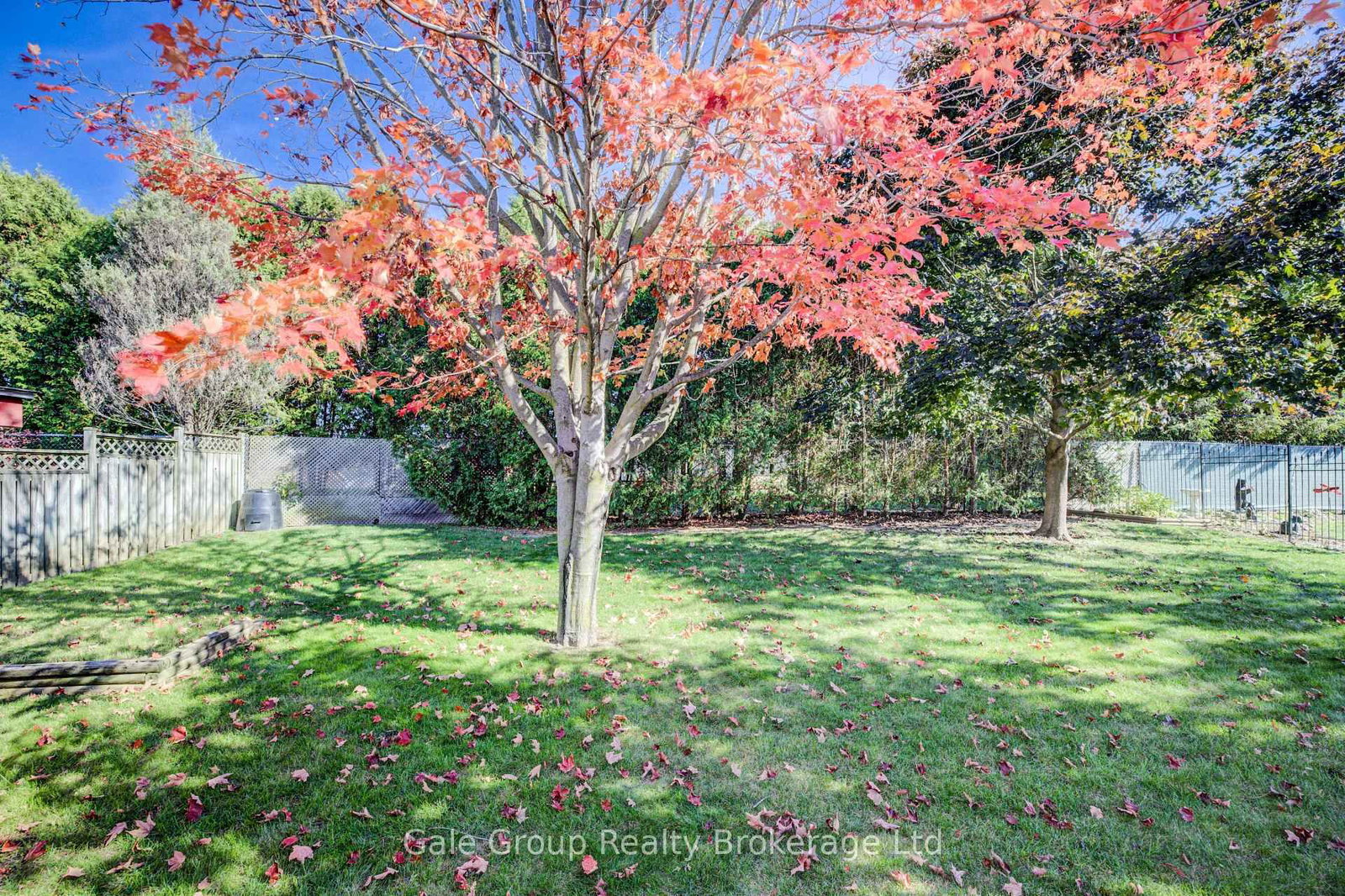Listing Image 35