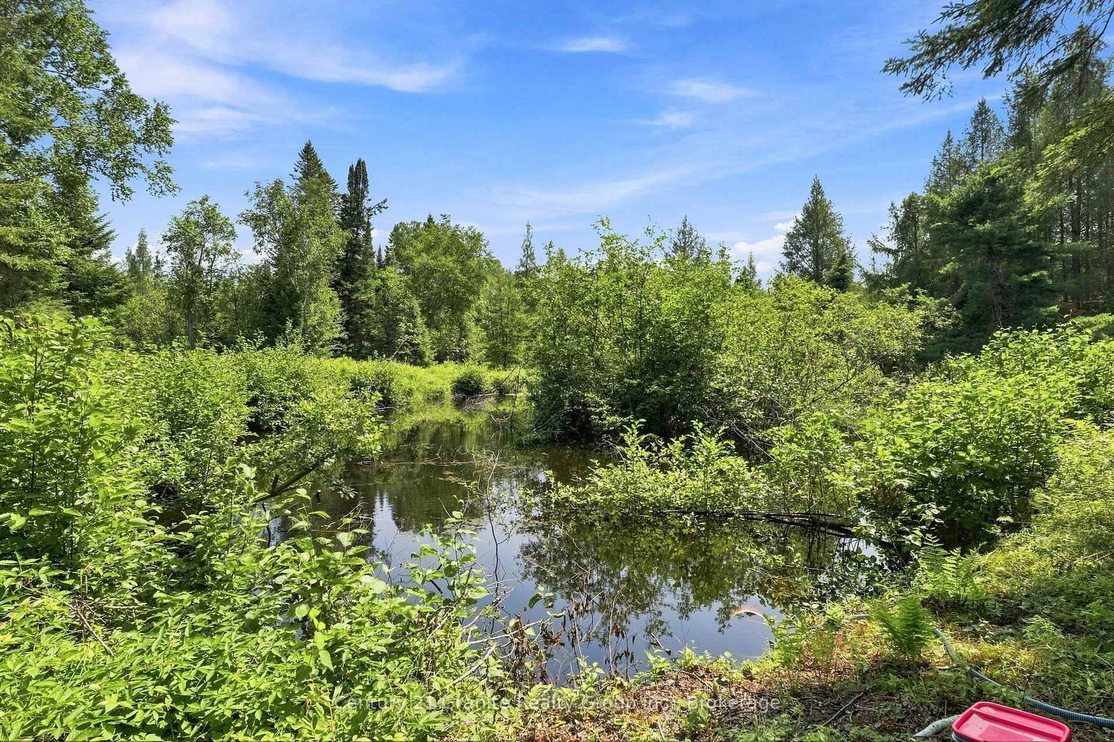 2125 Boulter Road • Maple Leaf, ON photo 35