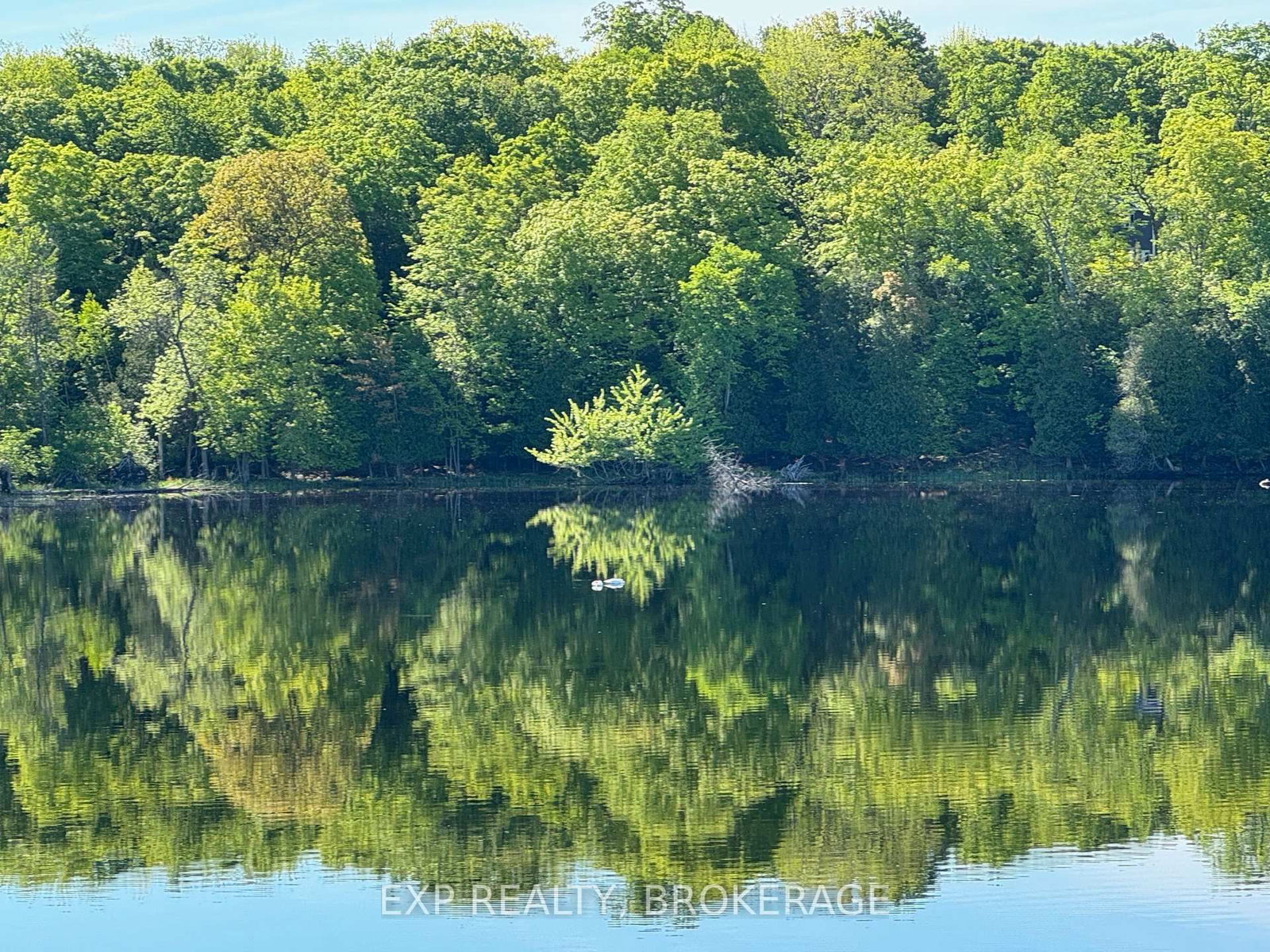 2107 Hambly Lane • Hartington, ON photo 23