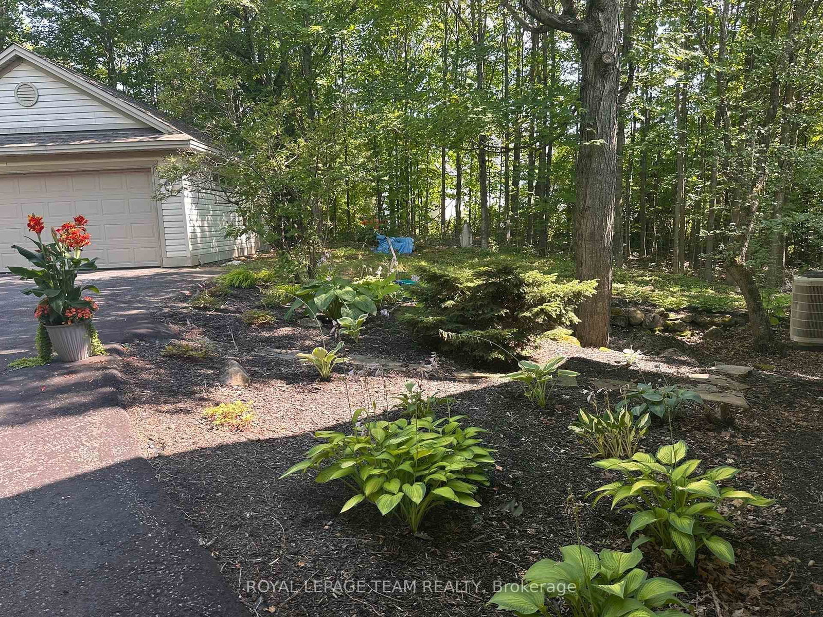 Listing Image 43