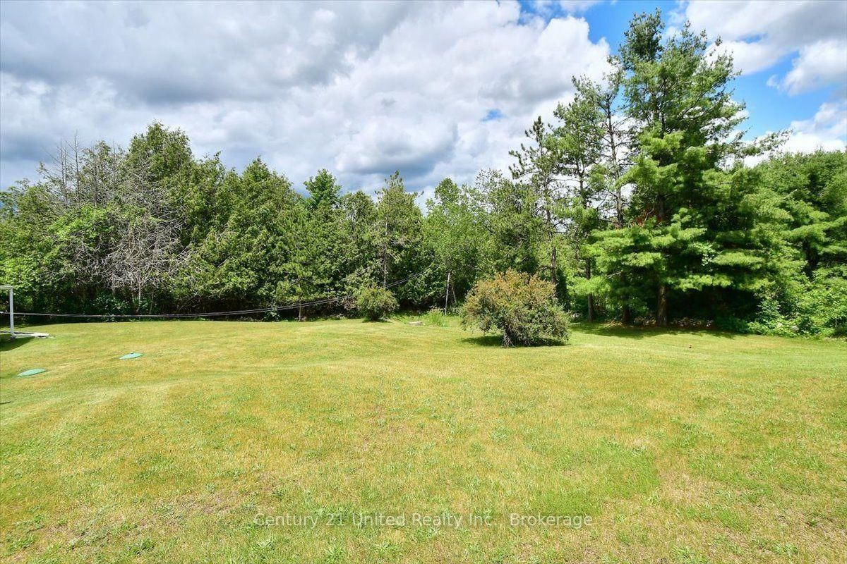 1541 County Road 4 • Douro-Dummer, ON photo 33