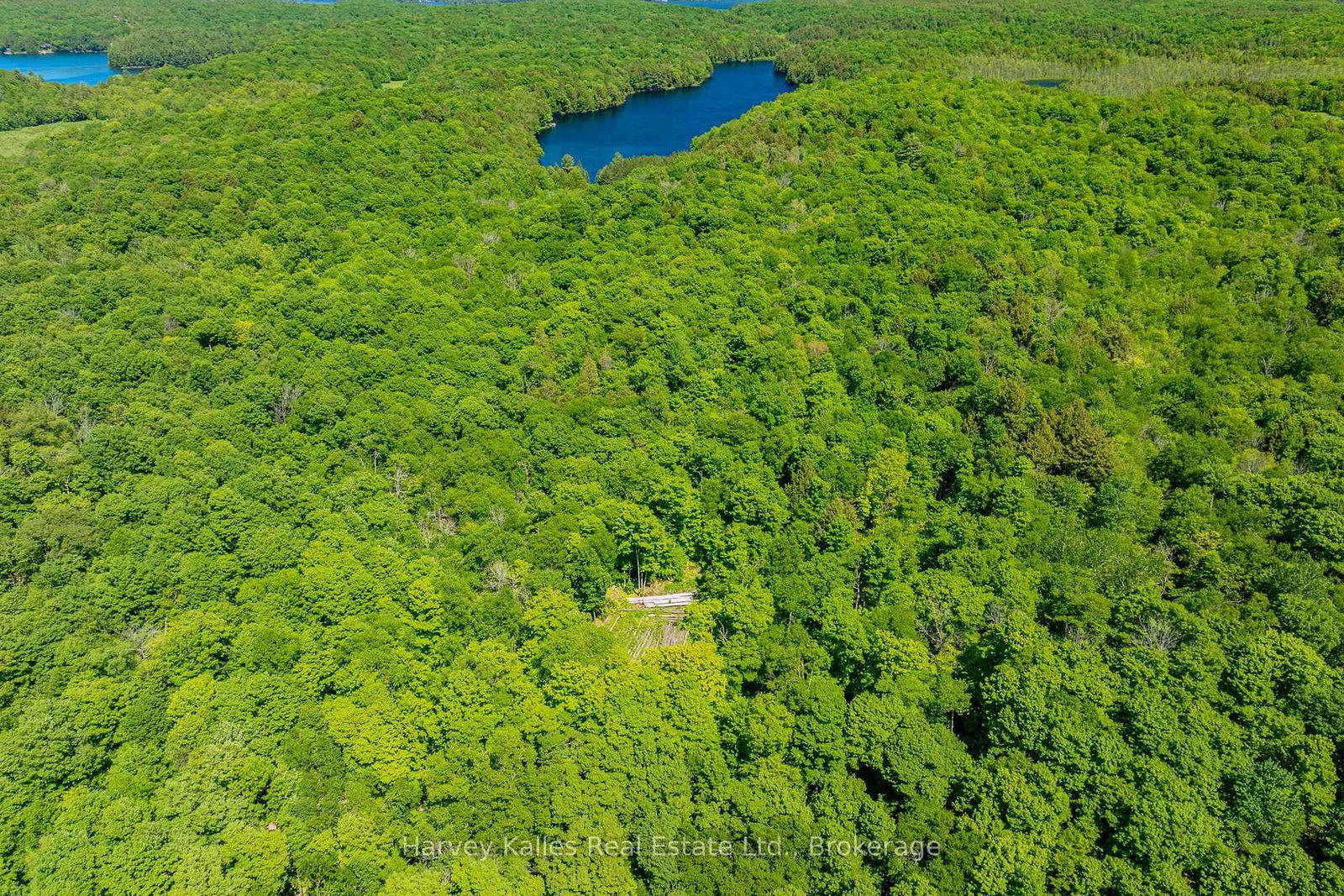 643B Highway 632 • Seguin, ON photo 16