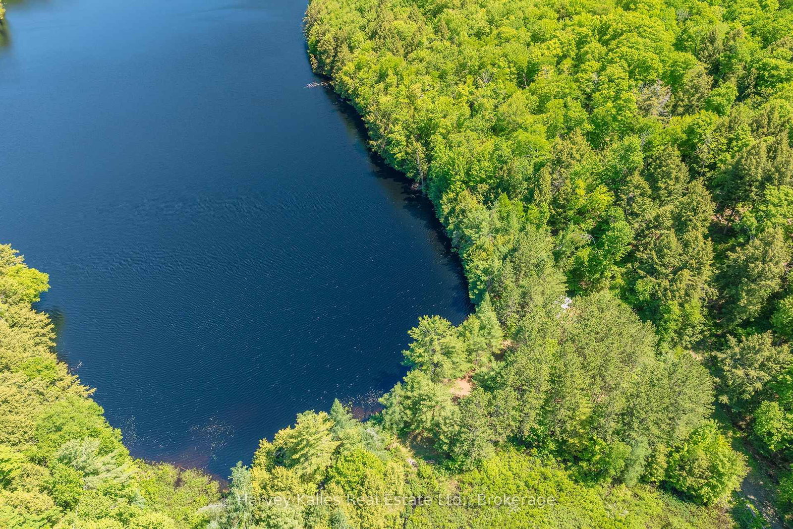 643B Highway 632 • Seguin, ON photo 6