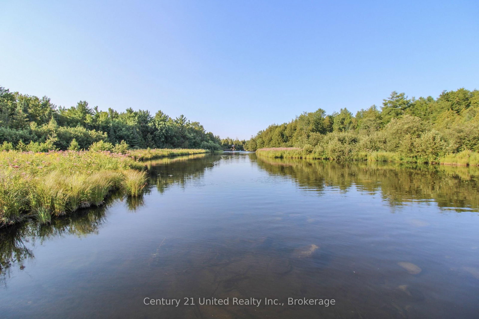 395 Sawmill Road • Douro-Dummer, ON photo 39