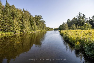 395 Sawmill Road • Douro-Dummer, ON photo 5