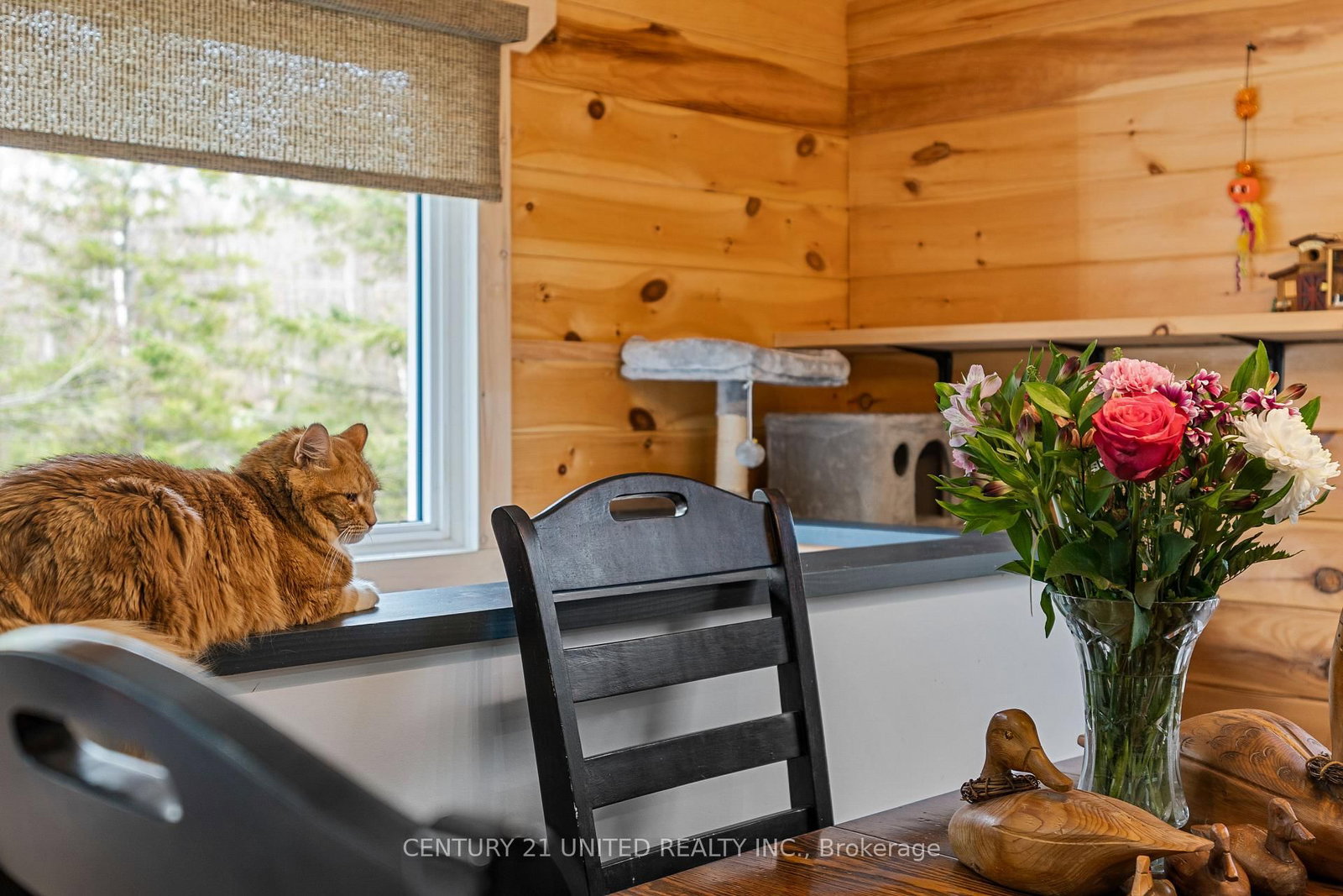 1001 English Circle • Highlands East, ON photo 14