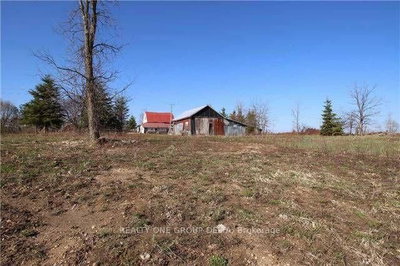 772789 Highway 10 • Grey Highlands, ON photo 5