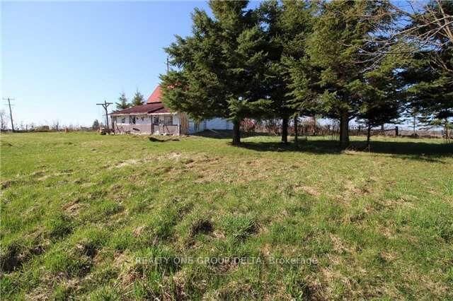 772789 Highway 10 • Grey Highlands, ON photo 6
