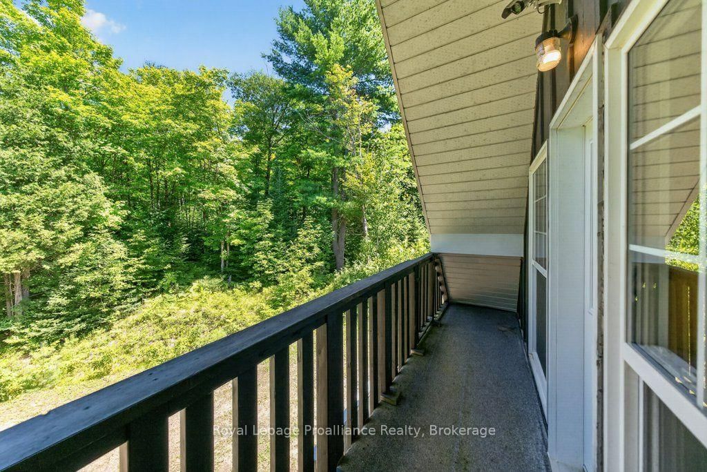 3201 River Road • Ardoch, ON photo 35