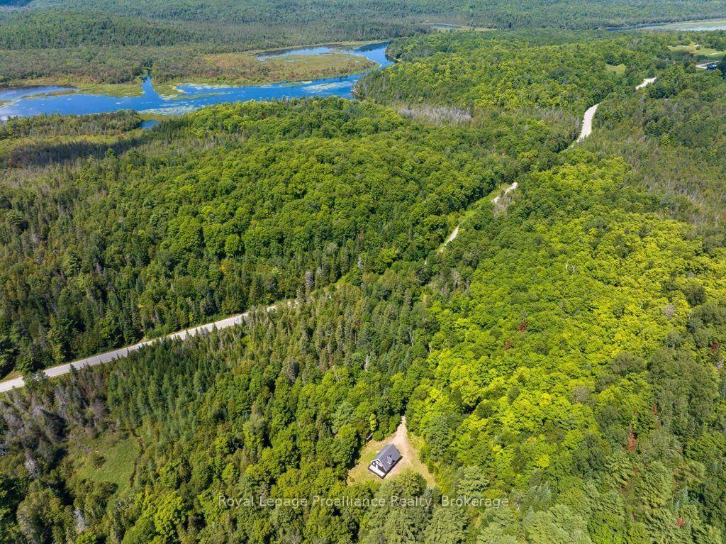 3201 River Road • Ardoch, ON photo 48