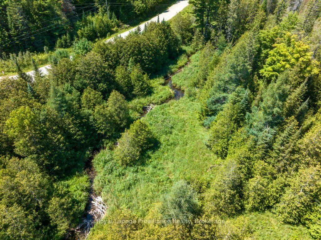 3201 River Road • Ardoch, ON photo 49