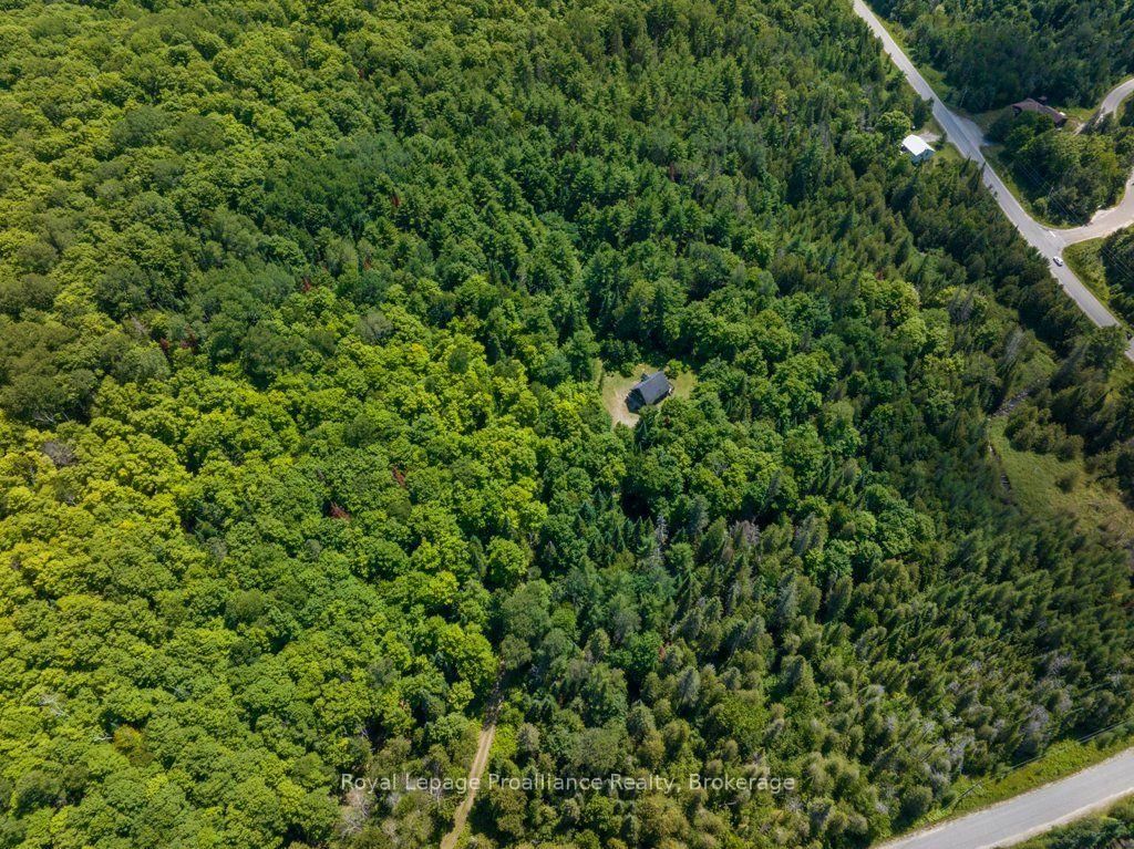 3201 River Road • Ardoch, ON photo 50