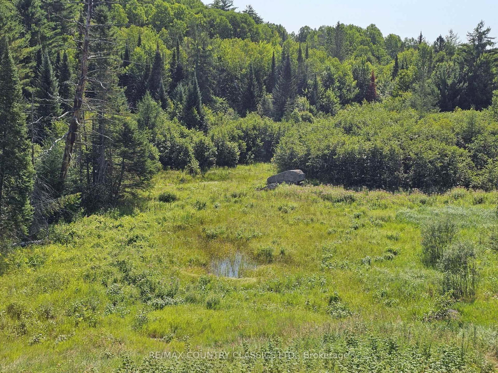 888 Wilno South Road S • Wilno, ON photo 31