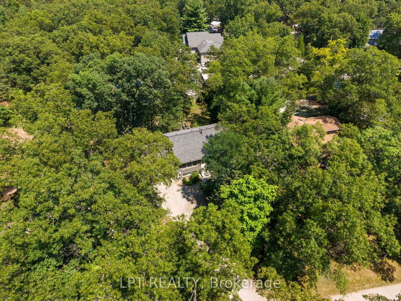 7806 Alfred Cres photo 5