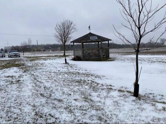 504110 Highway 89 • Amaranth, ON photo 4