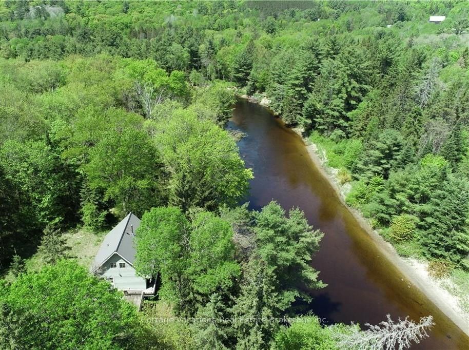 341 OLD NORTH Road • Huntsville, ON photo 3