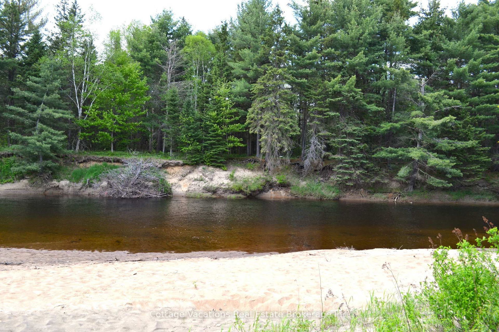 341 OLD NORTH Road • Huntsville, ON photo 5