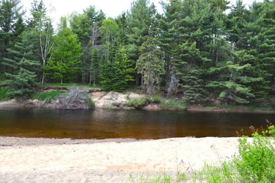 341 OLD NORTH Road • Huntsville, ON photo 5