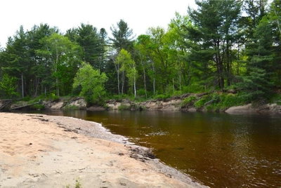 341 OLD NORTH Road • Huntsville, ON photo 9