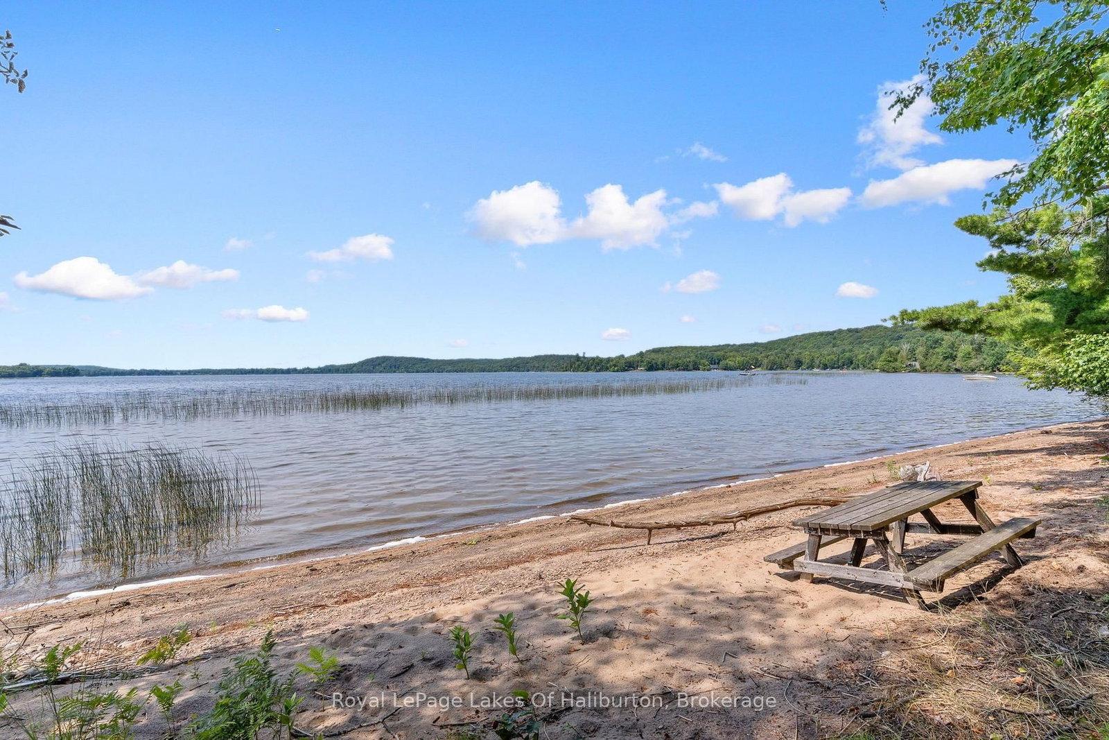 1046 Placid Lane • Algonquin Highlands, ON photo 16